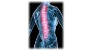 Dr. Sadlon Chiropractic Health Services