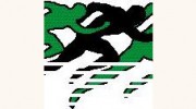 Allen County Family & Sports Chiropractic