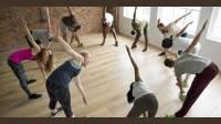 Holistic Health Doctor