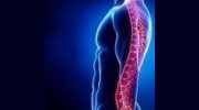 Traxler Chiropractic