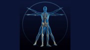 Momentum Chiropractic