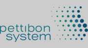 Pettibon System