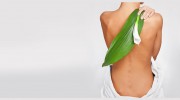 Lancaster Depew Chiropractic - Kevin E Cichocki
