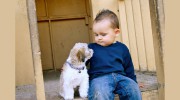 Swenson Chiropractic - Michael Swenson