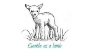 Gentle Chiropractic Wellness Center